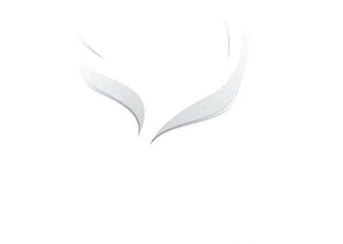 Nurse MAX